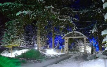 Акварели 22 Зима Свадебная арка ночь
